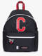 chicago bulls