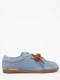 chambray