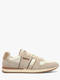 beige   ecru