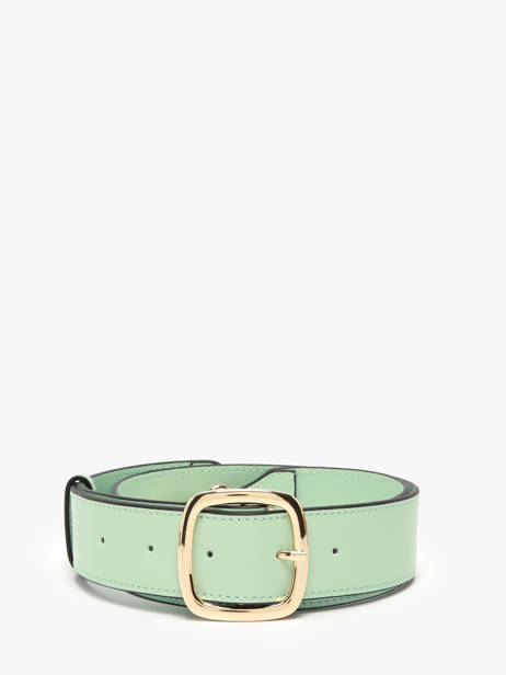Bandoulière De Sac Altair Cuir Etrier Vert altair EALA070L vue secondaire 1