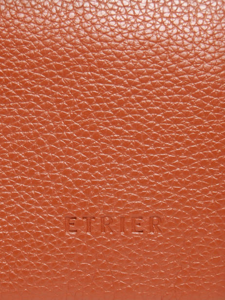 Sac à Dos Business Flandres 1 Compartiment Cuir Etrier Orange flandres EFLA8271 vue secondaire 5