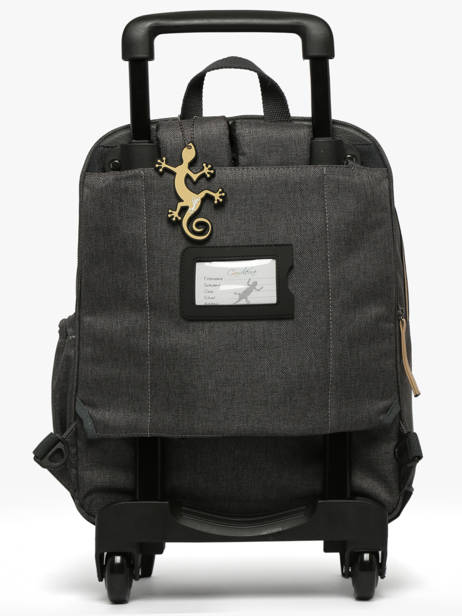 Sac A Dos à Roulettes 2 Compartiments Cameleon Gris vintage urban SR40 vue secondaire 4