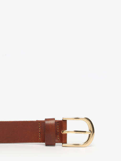 Ceinture Pieces Marron june 17160105 vue secondaire 2