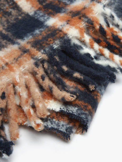 Écharpe Lauren ralph lauren Bleu textile 54P04483 vue secondaire 1