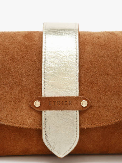 Sac Bandoulière M Agnes Cuir Velours Etrier Marron agnes EAGV205M vue secondaire 4