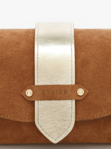 Sac Bandoulière S Agnes Cuir Velours Etrier Marron agnes EAGV205S vue secondaire 3