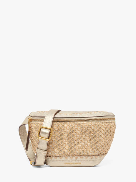 Sac Banane Rosalie Laurent david Or ld bags 8